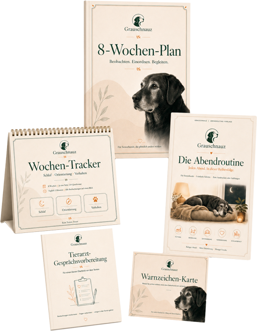 Grauschnauz Produktbild